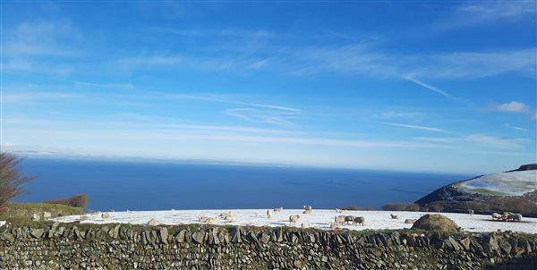 Sea view on the farm 