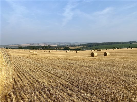 Herefordshire Harvest