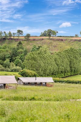 Herefordshire glamping site safari tent, lower tent and landscape