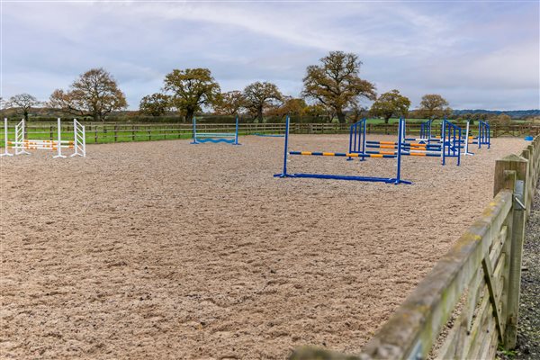 Horse paddock Horse paddock