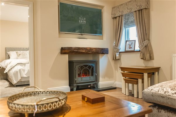 TV and electric log burner TV and electric log burner