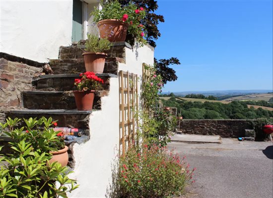 garden pots