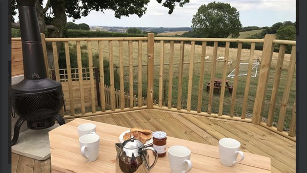 View from Tree House