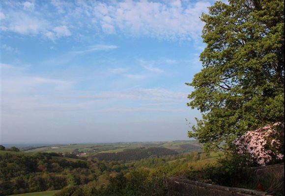 view from house