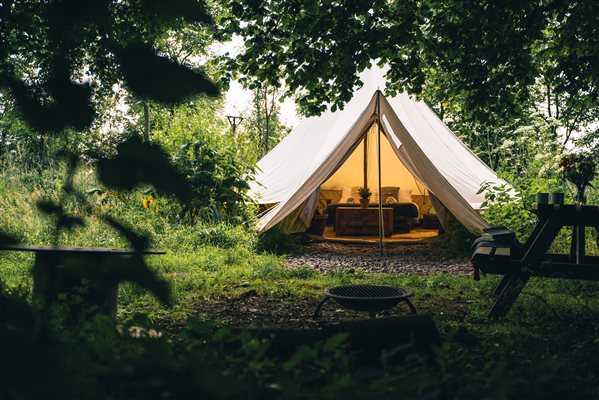 Bell tent on the edge of the woodland