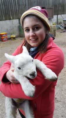 Lambing time on Peak District Farm