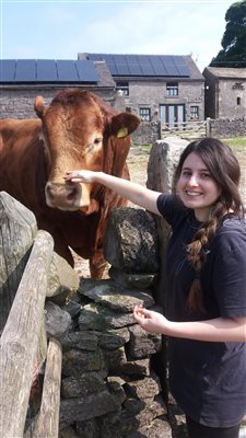 Declan the Bull, Gateham Grange, Alstonefield