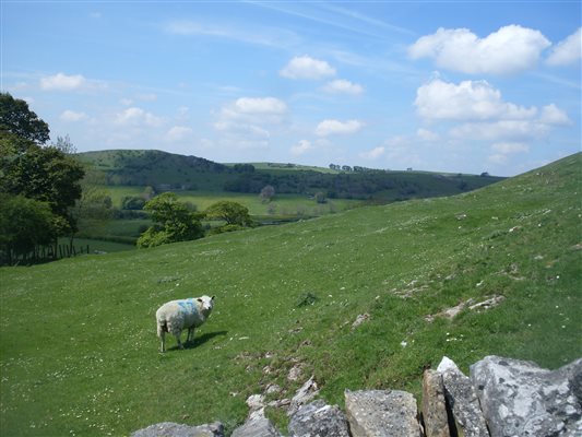 View from the garden at the Coach House, Alstonefield