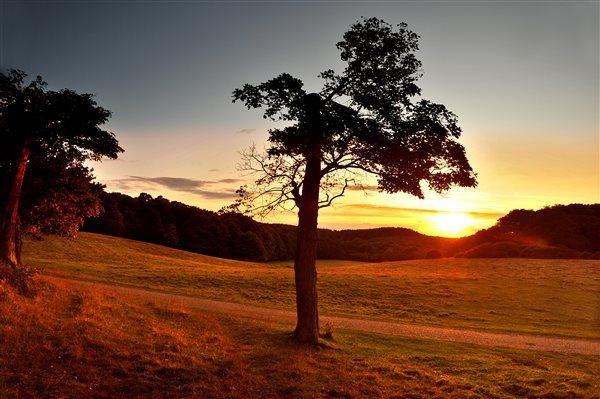 Sheringham Park