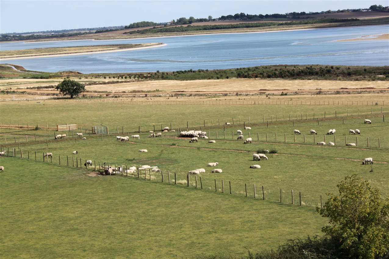 Rye Farm Self-Catering | Farm Stay