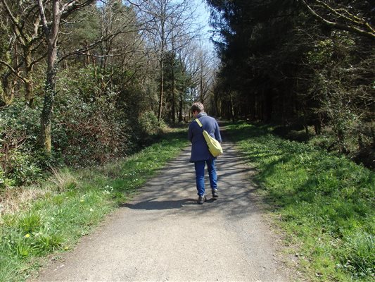Walking the Tarka Trail near Forda Farm B&B.