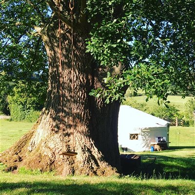 Yurt & tree swing