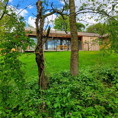 Whispering Waters Lodges view from river