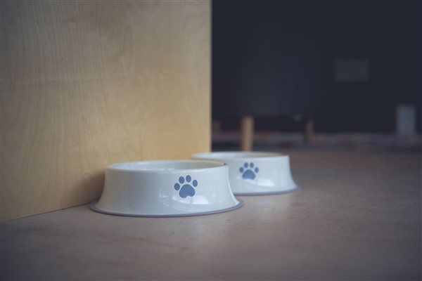 Whispering Waters Lodges pet bowls