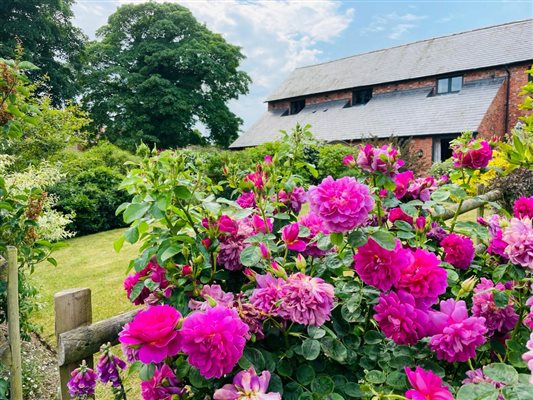 The Granary garden