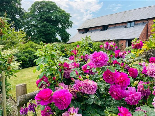 North Mere gardens